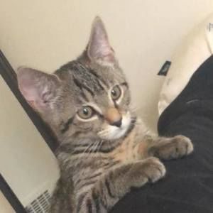 Meet your Posher, Daniel